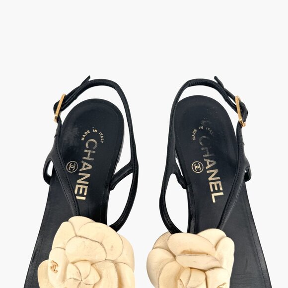 Chanel Camellia Flower CC Sandals Size 37.5C US 6.5-7 Black Leather Flat T-Strap - Picture 4 of 14